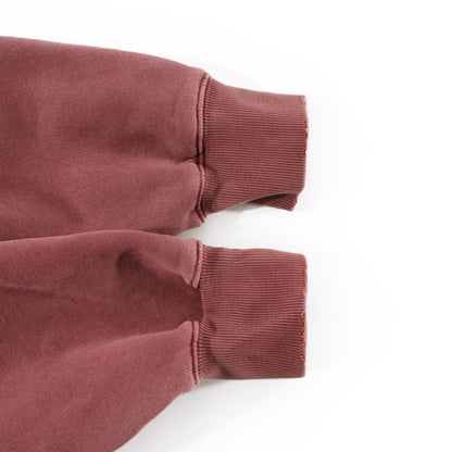 Reverse Austin Texas Frayed Washed Fleece Hoodie