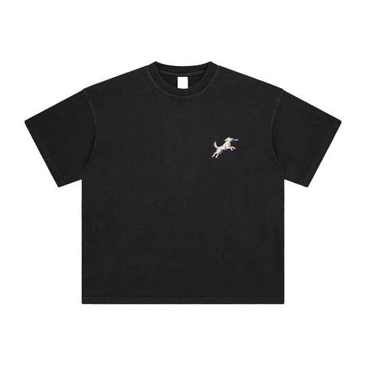 Austin Texas Fetch With A View Tee